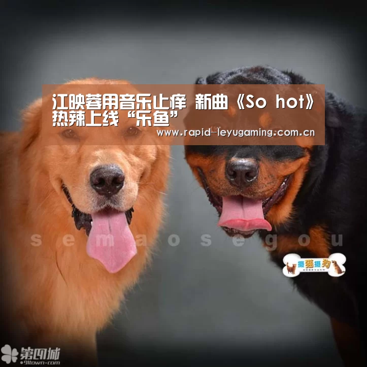 江映蓉用音乐止痒 新曲《So hot》热辣上线“乐鱼”(图4) 乐鱼官网