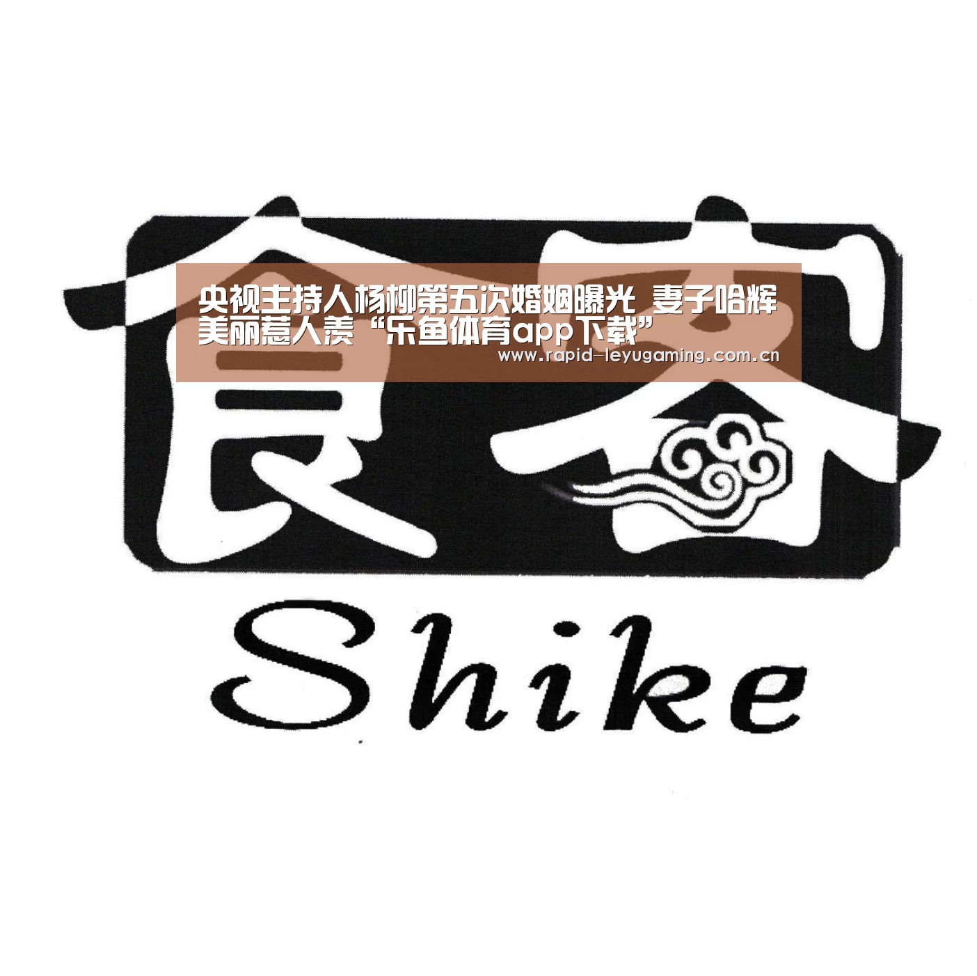央视主持人杨柳第五次婚姻曝光 妻子哈辉美丽惹人羡“乐鱼体育app下载”(图2) 乐鱼