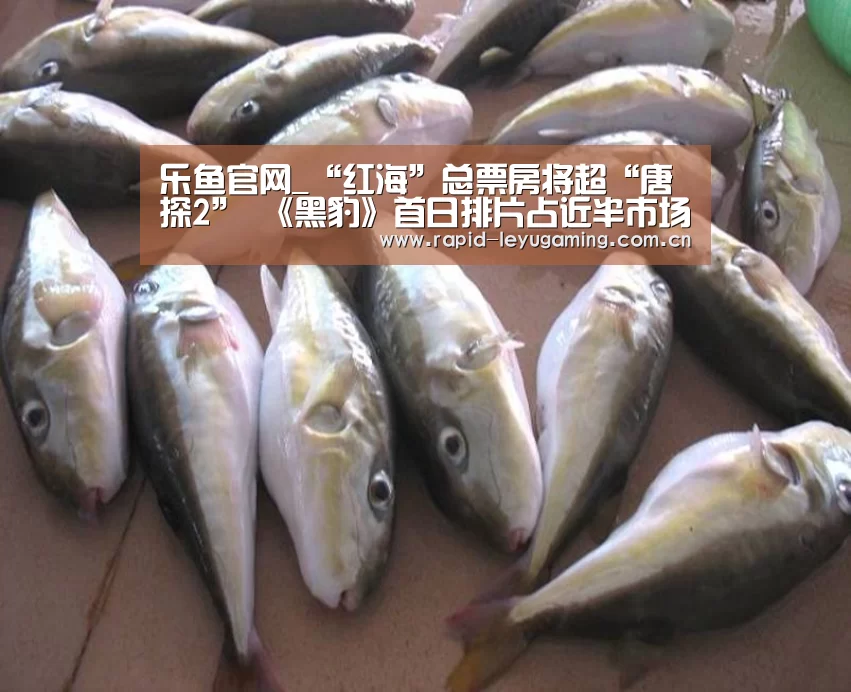 乐鱼官网_“红海”总票房将超“唐探2” 《黑豹》首日排片占近半市场空间(图2) 乐鱼网址