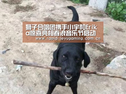 乐鱼