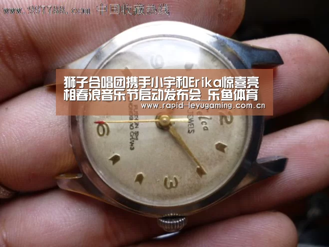 乐鱼